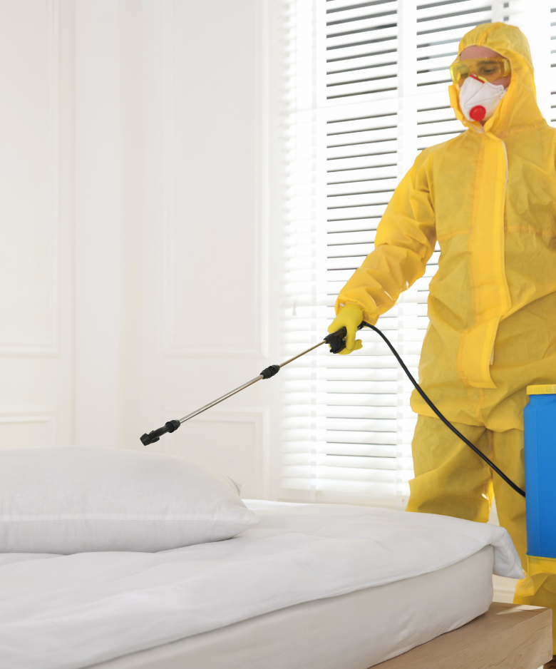 Professional Pest Control Team in Greenacres